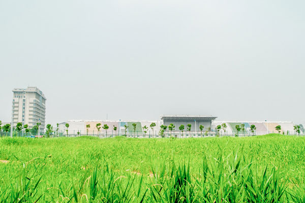 上海財經(jīng)大學(xué)學(xué)費上海財經(jīng)大學(xué)學(xué)費多少多少