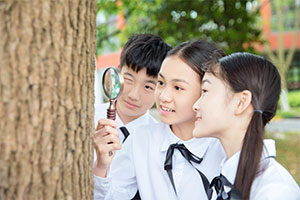北京市新英才學(xué)校(國內(nèi)班)師資怎么樣？教學(xué)水平好不好