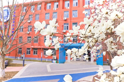 北京新府學(xué)外國(guó)語(yǔ)學(xué)校(國(guó)內(nèi)班)家長(zhǎng)印象如何？大家的評(píng)價(jià)好不好？