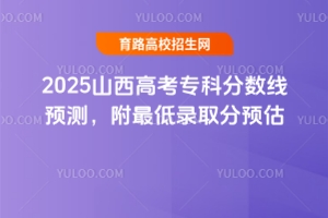2025ɽ߿(zhun)Ʒ?jn)?sh)A(y)y(c)ȡA(y)