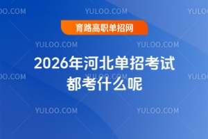 2026ӱпԇʲô