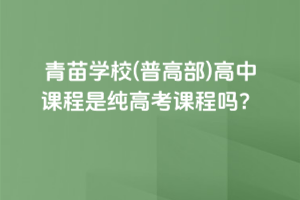 青苗學校(普高部)高中課程是純高考課程嗎？