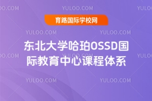 |W(xu)OSSDHnwϵ