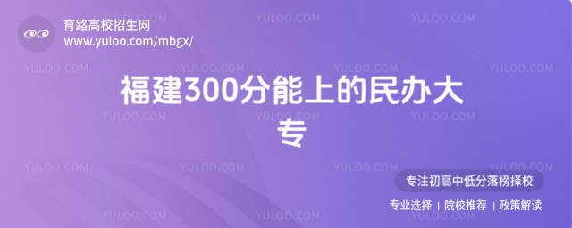 2025긣300ϵkЩ