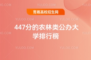 447ֵr(nng)kWа2025